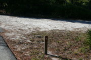 Looking at LOOP 1 #18 from camping area road â Sunny site surrounded by palmettos and green trees;