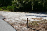 Looking at LOOP 1 #19 from camping area road â Partially shaded site surrounded by palmettos and green trees;