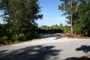 Photo is at the front of LOOP 1 #19 looking out towards back of site; gray campground road with green trees surrounding the site, also on the back of the site is 2 clothes line poles,  to the far right of site is water and electric hookups; far left of site is circular ground grill and picnic table.