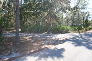 In LOOP 1 #20, a better view of the entrance to the site more palmetto and trees surround the site. Site Marker is on the right side of the main road