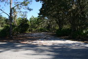Photo is at the front of LOOP 1 #20 looking out towards back of site; gray campground road with green trees surrounding the site, also on the back of the site is 2 clothes line poles,  to the far right of site is water and electric hookups; far left of site is circular ground grill and picnic table.