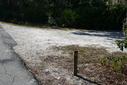Looking at LOOP 1 #10 from camping area road â Partially shaded site surrounded by palmettos and green trees;