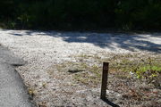 Looking at LOOP 1 #23 from camping area road â Partially shaded site surrounded by palmettos and green trees;