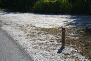 Looking at LOOP 1 #25 from camping area road â Partially shaded site surrounded by palmettos and green trees;