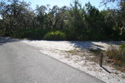 In LOOP 1 #25, a better view of the entrance to the site more palmetto and trees surround the site. Site Marker is on the right side of the main road