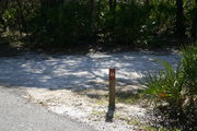 Looking at LOOP 1 #26 from camping area road â Partially shaded site surrounded by palmettos and green trees;