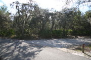 In LOOP 1 #26, a better view of the entrance to the site more palmetto and trees surround the site. Site Marker is on the right side of the main road