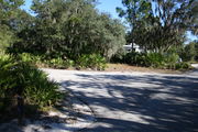 Photo is looking at LOOP 1 #27, a different view of the entrance to the site.  Palmetto and trees surround the site.