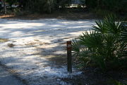 Looking at LOOP 1 #28 from camping area road â Partially shaded site surrounded by palmettos and green trees;