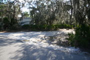 In LOOP 1 #28, a better view of the entrance to the site more palmetto and trees surround the site. Site Marker is on the right side of the main road