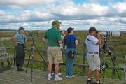 Birdwatchers, nature photographers, and park rangers scan the horizon for wildlife at the platform at the end of the La Chua trail.  Located at the north end of the park, this trail provides excellent wildlife and wildflower viewing opportunities.Ã¢ÂÂ