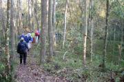 Hikers on the Rim Ramble trail enjoy a ranger-guided walk through a live oak hammock dotted with sinkholes on the north rim of the prairie basin.  This guided walk is offered November through April.Ã¢ÂÂ