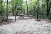 A September view of the picnic table, and fire ring area, and post for hanging your lantern from within campsite #1.  Site is surrounded on three sides by a mixed oak, pine, and cabbage palm forest.