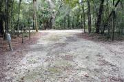 A September view of the campground drive from within campsite #1, electricity and water hookups are seen on the left side of the tent/RV space.  Site is surrounded on three sides by a mixed oak, pine, and cabbage palm forest.