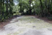 A September view of campsite #2 taken from the site entrance, with tent/RV space in center of image, picnic table and fire ring on left hand side, and water and electrical hookups on right hand side.  Site is surrounded on three sides by a mixed oak, pine, and cabbage palm forest.