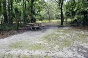 A September view of the picnic table, and fire ring area, and post for hanging your lantern from within campsite #2.  Site is surrounded on three sides by a mixed oak, pine, and cabbage palm forest.