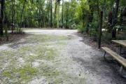 A September view of the campground drive from within campsite #2, the edge of the picnic table is seen on the right side of the tent/RV space.  Site is surrounded on three sides by a mixed oak, pine, and cabbage palm forest.
