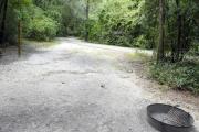 A September view of the campground drive from within campsite #3, the edge of the picnic table is seen on the right side of the tent/RV space.  Site is surrounded on three sides by a mixed oak, pine, and cabbage palm forest.
