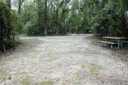 A September view of the campground drive from within campsite #6, the picnic table is seen on the right side of the tent/RV space, and the water hookup is seen on the left.  Another campsite is visible across the campground drive.  Site is surrounded on three sides by a mixed oak, pine, and cabbage palm forest.