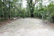A September view of campsite #8 taken from the site entrance, with tent/RV space in center of image, picnic table and fire ring on left hand side, and water and electrical hookups on right hand side.  Site is surrounded on three sides by a mixed oak, pine, and cabbage palm forest.