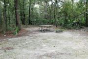 A September view of the picnic table, tent pad, and lantern post for hanging your lantern from within campsite #8.  Site is surrounded on three sides by a mixed oak, pine, and cabbage palm forest.