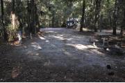 A September view of the campground drive from within campsite #9.  The electric and water hookups are seen on the left, picnic table and fire ring are seen on the right.  Another campsite is visible across the campground drive.  Site is surrounded on three sides by a mixed oak, pine, and cabbage palm forest.