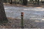 A view of the campsite signpost for site #9.  Typical limerock and sand site surface is seen.