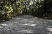 A September view of campsite #12 taken from the site entrance, with tent/RV space in center of image, picnic table and fire ring on left hand side, and water and electrical hookups on right hand side.  Site is surrounded on three sides by a mixed oak, pine, and cabbage palm forest.