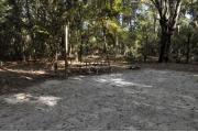 A September view of the picnic table, fire ring, and lantern post for hanging your lantern from within campsite #12.  Site is surrounded on three sides by a mixed oak, pine, and cabbage palm forest.