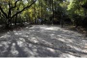 A September view of campsite #13 taken from the site entrance, with tent/RV space in center of image, picnic table and fire ring on left hand side, and water and electrical hookups on right hand side.  Campsite #11 is visible through the woods behind the fire ring.  Site is surrounded on three sides by a mixed oak, pine, and cabbage palm forest.