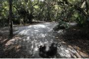 A September view of the picnic table, water, and electrical hookups from within campsite #13, behind the fire ring.  Site is surrounded on three sides by a mixed oak, pine, and cabbage palm forest.  Adjacent campsites can be glimpsed through the woods.