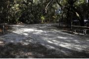 A September view of the campground drive from within campsite #13.  The water hookup is seen on the left, and picnic table on the right.  Two campsites are visible across the campground drive.  Site is surrounded on three sides by a mixed oak, pine, and cabbage palm forest.