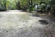 A September view of the campground drive from within campsite #14.  The picnic table, fire ring, and latern post to hang your lantern are seen on the right.  Campsite #16 is visible through the woods to the right of this site.  Site is surrounded on three sides by a mixed oak, pine, and cabbage palm forest.