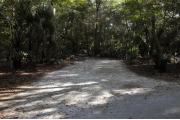 A September view of campsite #16 taken from the site entrance, with tent/RV space in center of image, picnic table and fire ring on left hand side, and water and electrical hookups on right hand side.  Site is surrounded on three sides by a mixed oak, pine, and cabbage palm forest.