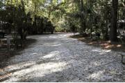 A September view of the campground drive from within campsite #16.  The water hookup is seen on the left.  Campsite #17 is just visible through the woods to the right.  Site is surrounded on three sides by a mixed oak, pine, and cabbage palm forest.