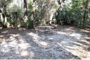 A September view of the picnic table, fire ring, and lantern post for hanging your lantern from within campsite #18.  Site is surrounded on three sides by a mixed oak, pine, and cabbage palm forest.