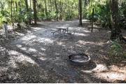 A September view of the campground drive from within campsite #18.  The water and electrical hookups are seen on the left.  Site is surrounded on three sides by a mixed oak, pine, and cabbage palm forest.