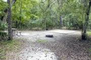 A September view of tent site #24, showing raised tent pad, with fire ring in foreground, picnic table to left, and lantern post for your lantern.   Water and electrical hookups are a short distance away.  Site is surrounded on three sides by a mixed oak, pine, and cabbage palm forest.