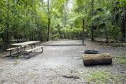 A September view of tent site #25, showing raised tent pad, picnic table, and fire ring.  Water and electrical hookups are a short distance away.  Site is surrounded on three sides by a mixed oak, pine, and cabbage palm forest.