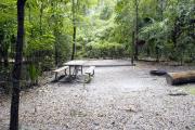 A September view of tent site #22, showing raised tent pad, with fire ring, picnic table, and lantern post for your lantern. Water and electrical hookups are a short distance away. Site is surrounded on three sides by a mixed oak, pine, and cabbage palm forest.