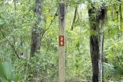 Campsite signpost for site #26 with typical surrounding oak, pine, and palm vegetation in background.