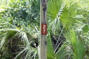 Campsite signpost for site #27 with typical surrounding oak, pine, and palm vegetation in background.