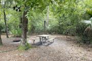 A September view of tent site #28, showing raised tent pad, fire ring, picnic table and lantern post.  Water and electrical hookups are a short distance away.  Site is surrounded on three sides by a mixed oak, pine, and cabbage palm forest.