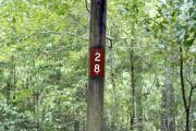 Campsite signpost for site #28 with typical surrounding oak, pine, and palm vegetation in background.