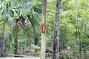 Campsite signpost for site #29 with typical surrounding oak, pine, and palm vegetation in background.