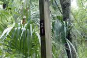 Campsite signpost for site #21 with typical surrounding oak, pine, and palm vegetation in background.