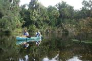 Two canoeists paddling in the spring run at Blue Spring State Park.