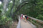 A family of four walking on the main boardwalk in a wooded area at Blue Spring State Park.