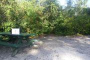 Campsite #1 at Blue Spring State Park with fire ring and picnic table.