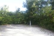Campsite #1 at Blue Spring State Park with electric and water hookup.